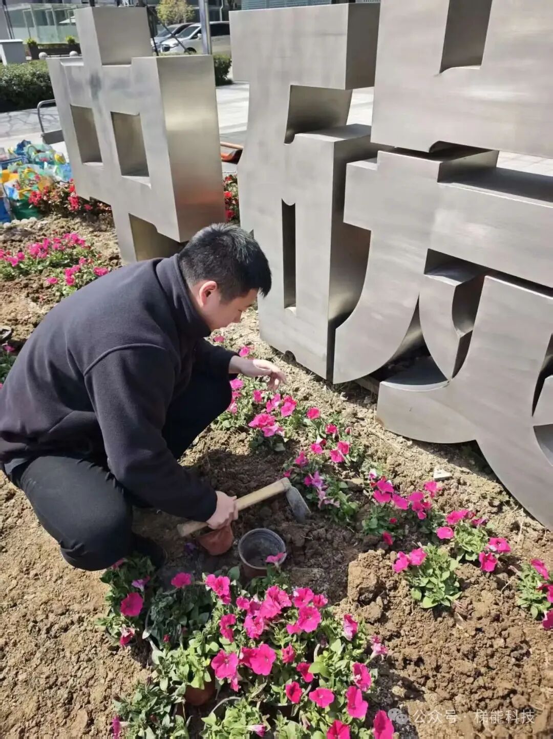 种.jpg