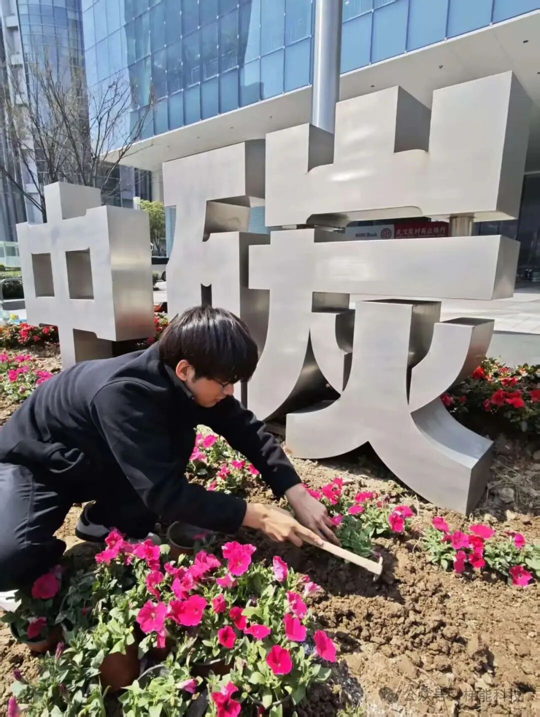 种1.jpg